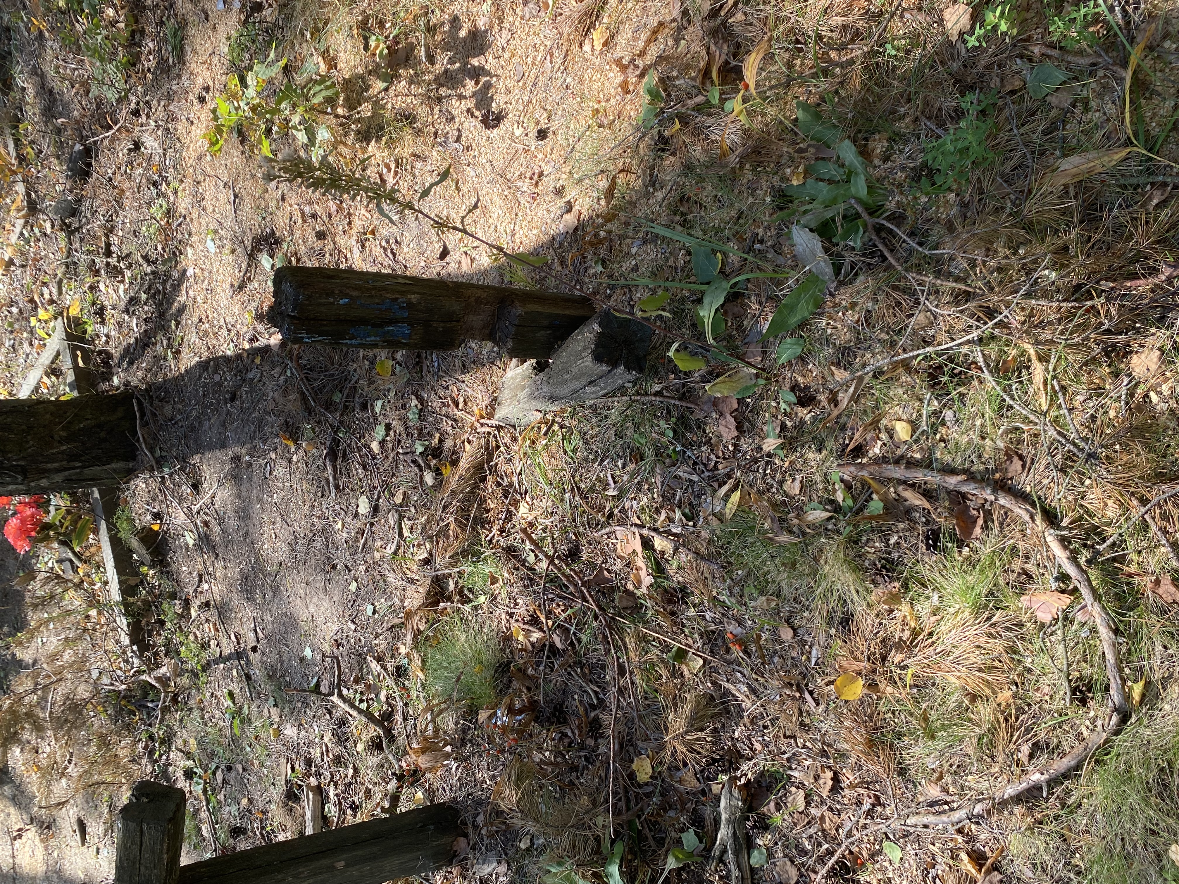 Фотография надгробия